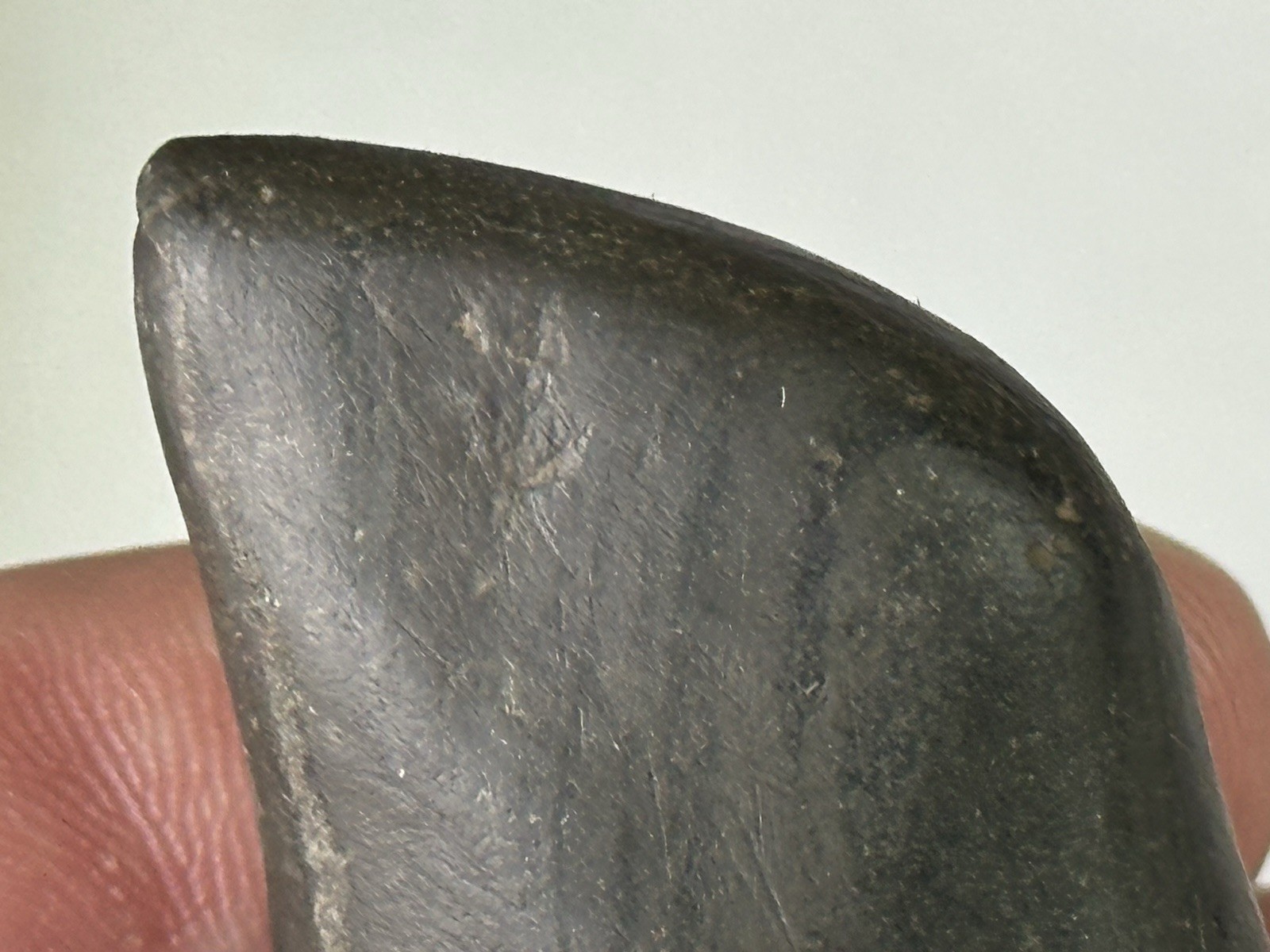 RARE AUTHENTIC BANDED SLATE BIRDSTONE FROM ASHLAND CO. OHIO, MOTLEY COA