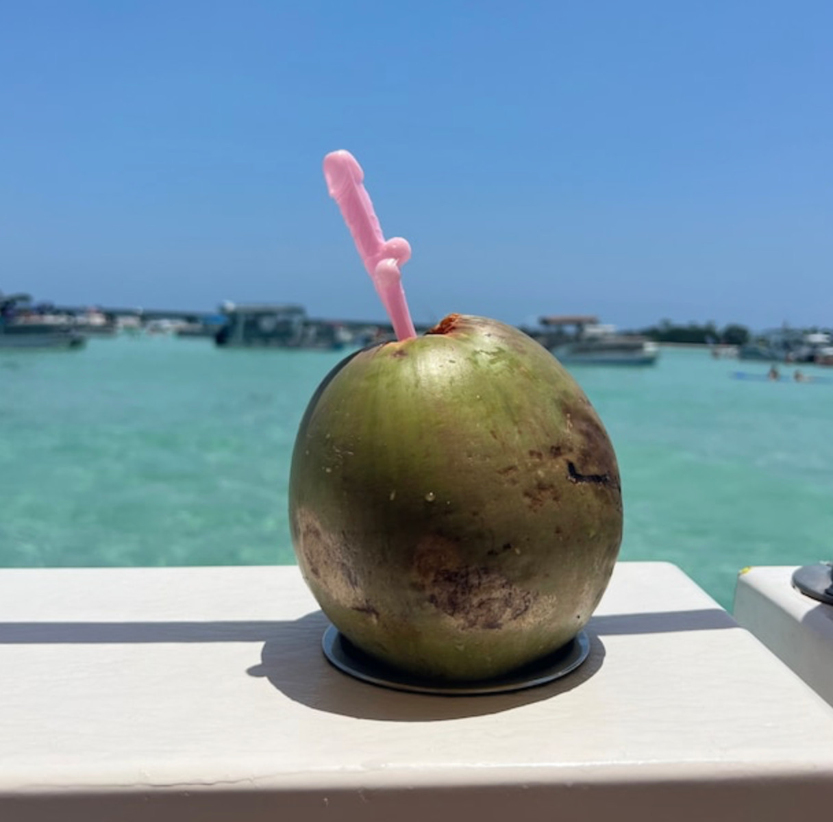 50 Penis Straws Bachelorette Party Supplies Decorations Favor Cup Drinking Fun