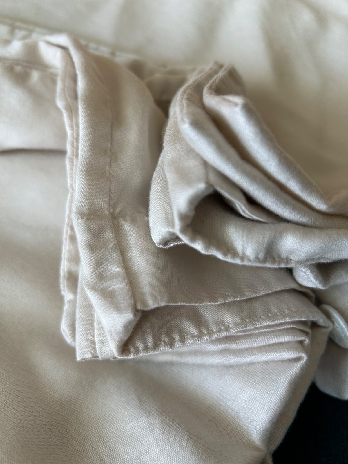 SDH Legna Lyocell King Pillowcases Set of (2) Ivory /Cream Button Closure