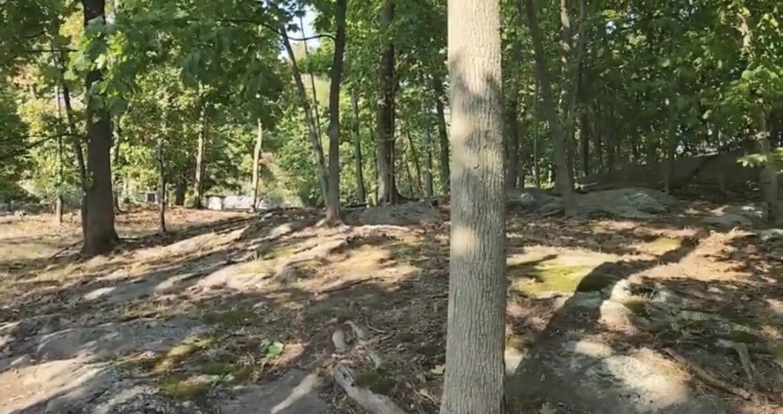 Salem Witch Hangings Historical Location Artifact with COA