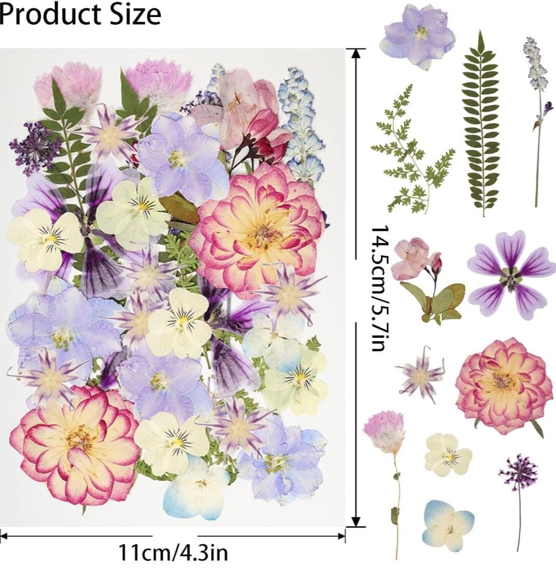 50Pcs Dried Pressed Flowers Resin Mould Real Pressed Flowers Natural Dry Leaves