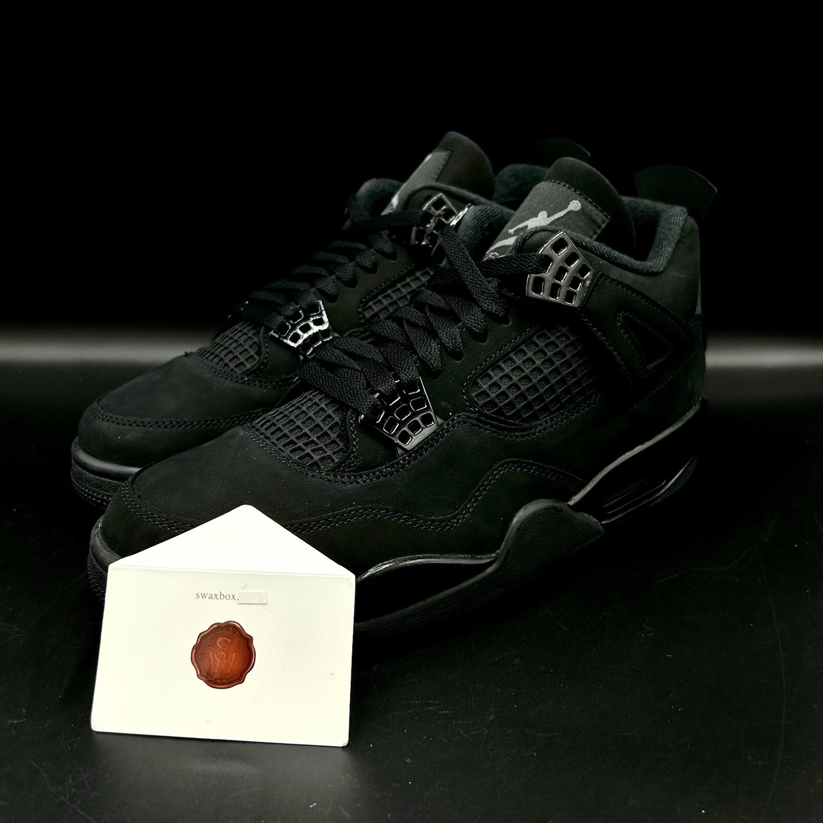 Air Jordan 4 “Black Cat” FV5029-010 Ship Now