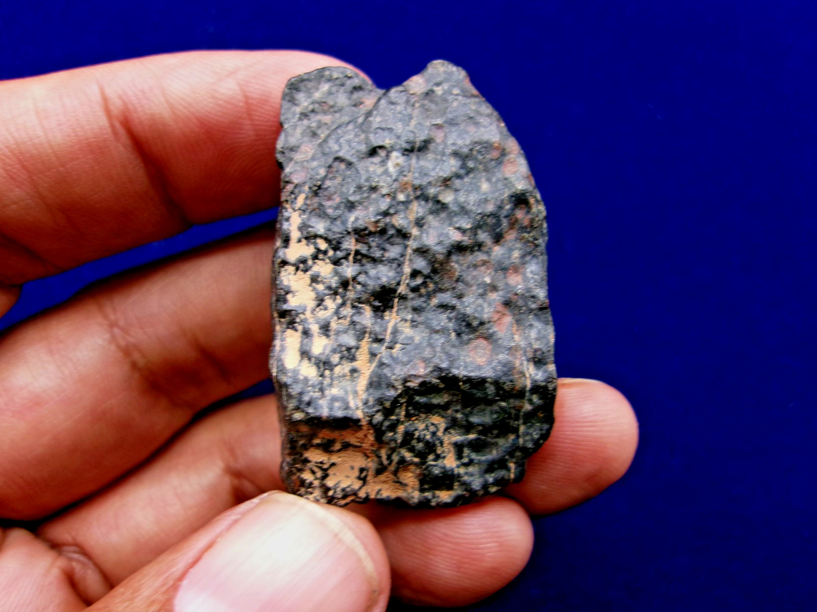 43.29 g - NWA 4502 - CVox3 Carbonaceous Meteorite - Tons of Chondrules & CAI's