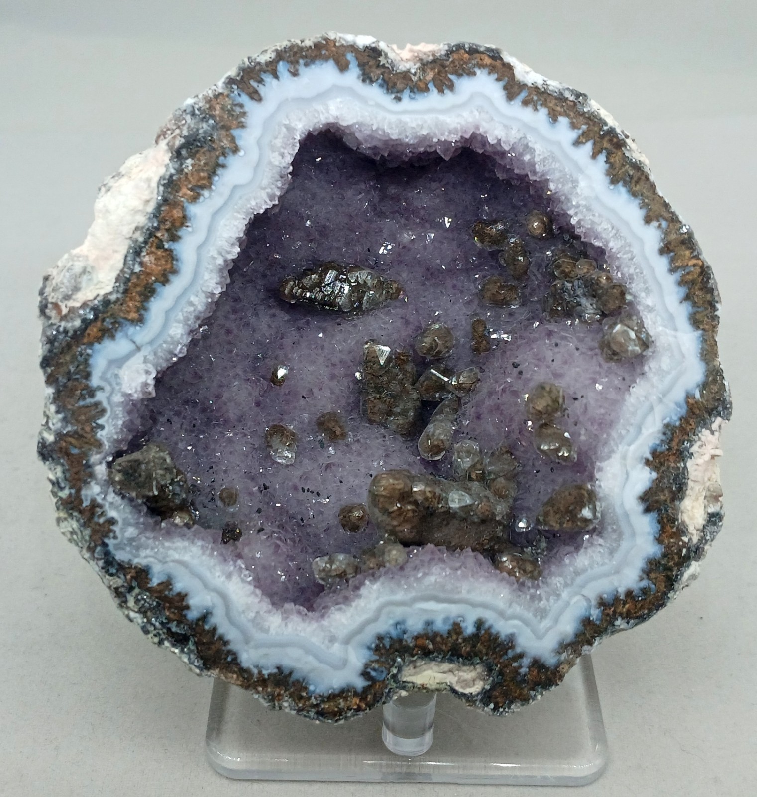 Whole Guaranteed Hollow Colorful Mexican Coconut Choyas Geodes, Mine Direct!