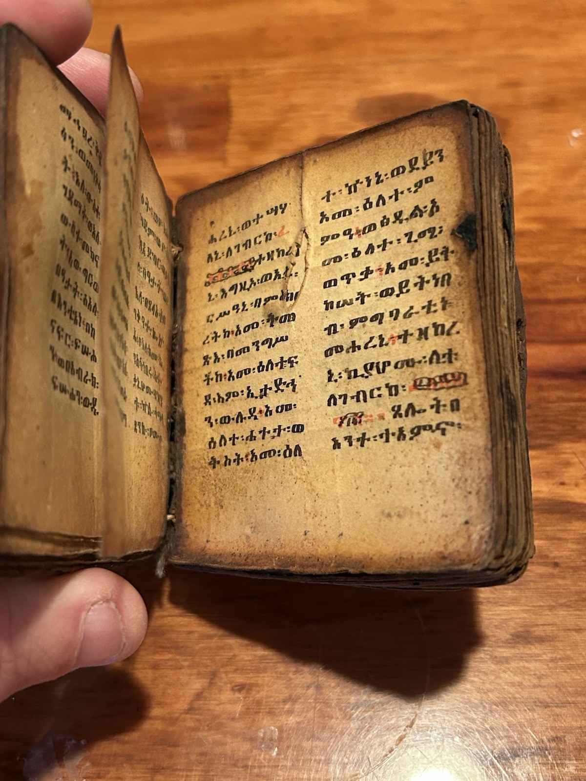 Antique African / Ethiopian Coptic Ge'ez Script Bible On Vellum w/ Docs 1800s