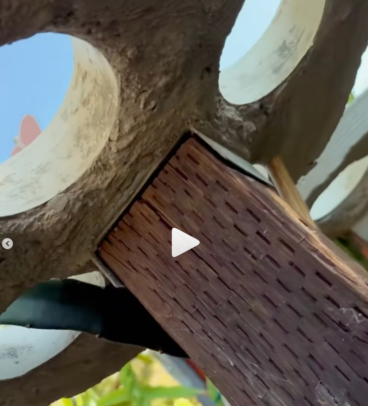 Dragon Fruit Trellis Topper with FREE LED SOLAR LIGHT Screw Direct to 4x4 Post