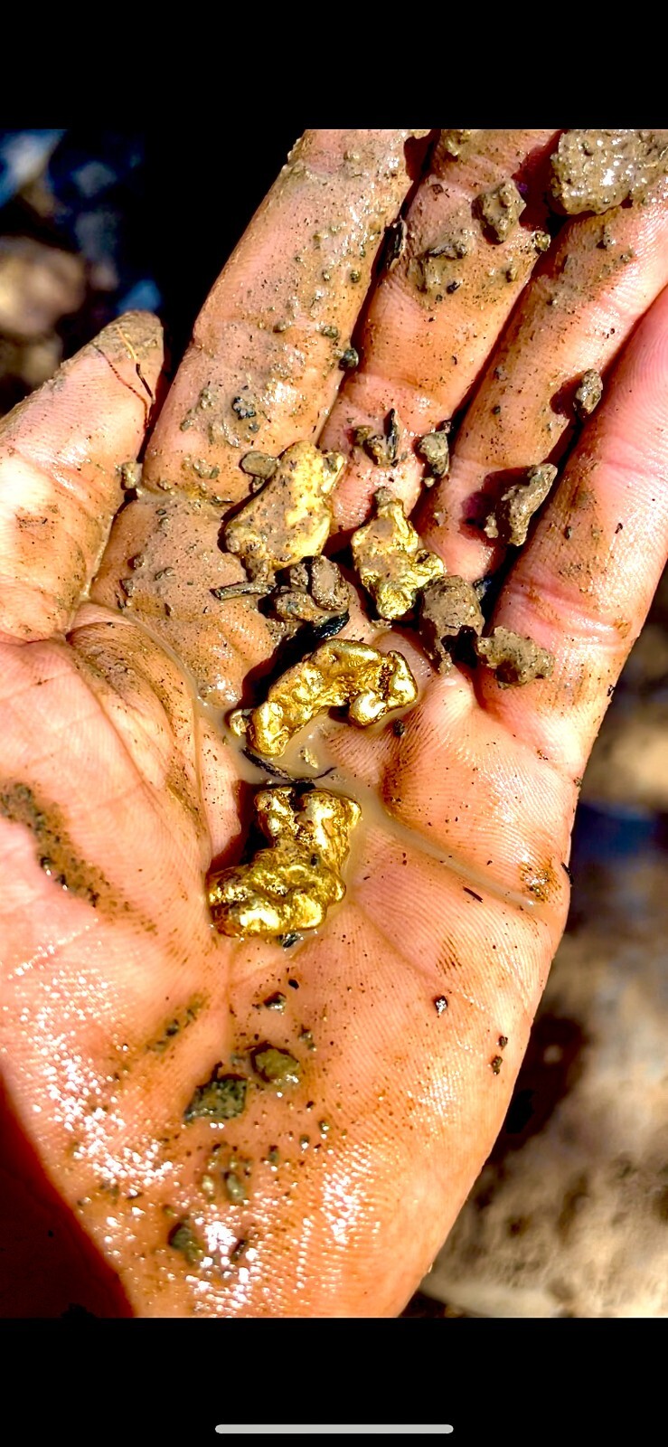 GOLD Paydirt Guaranteed Unsearched Rich with black sand + Added Gold concentrate