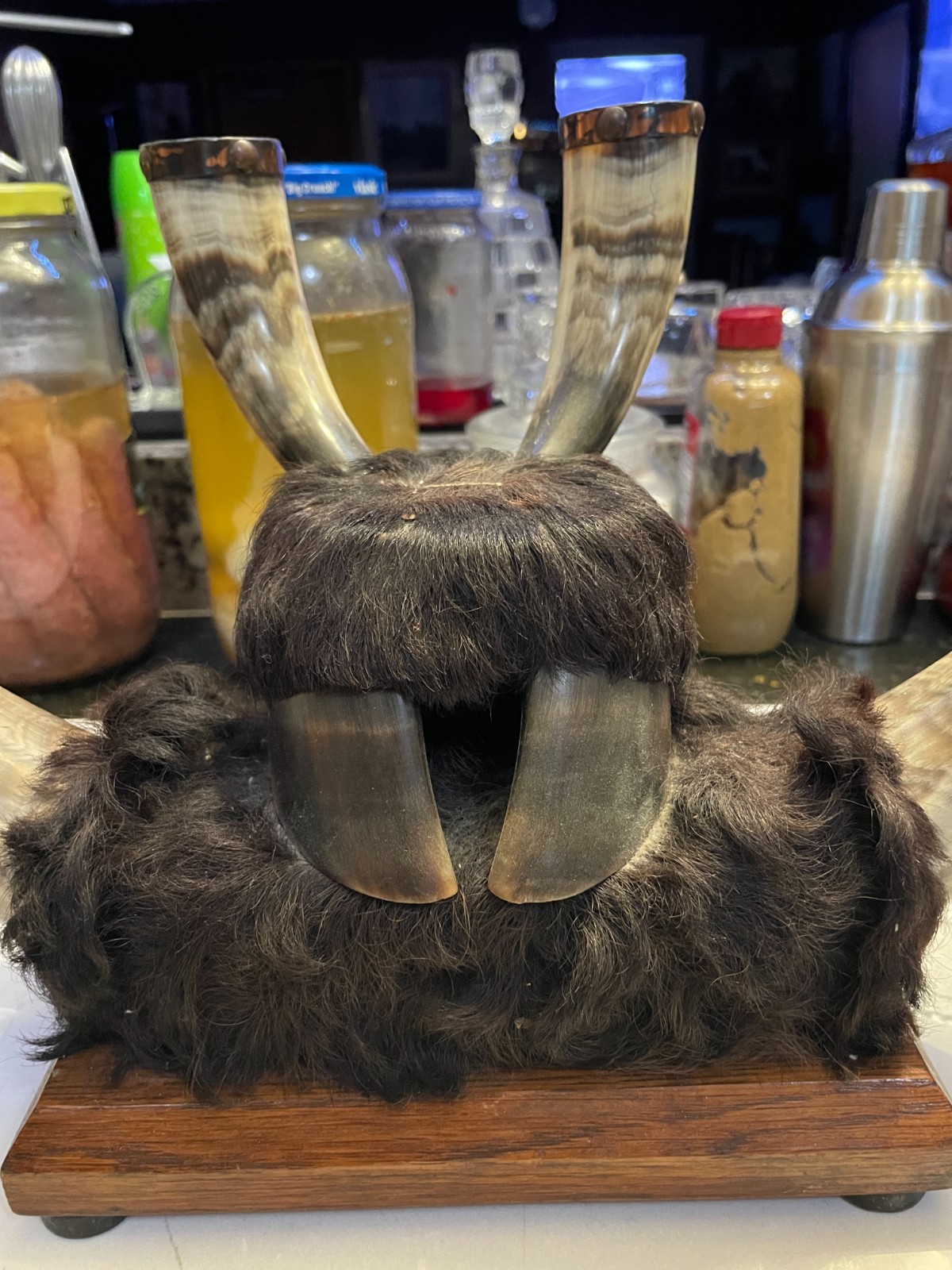 Antique Crow Native American Indian Split Buffalo Horn Bonnet early 19th Century