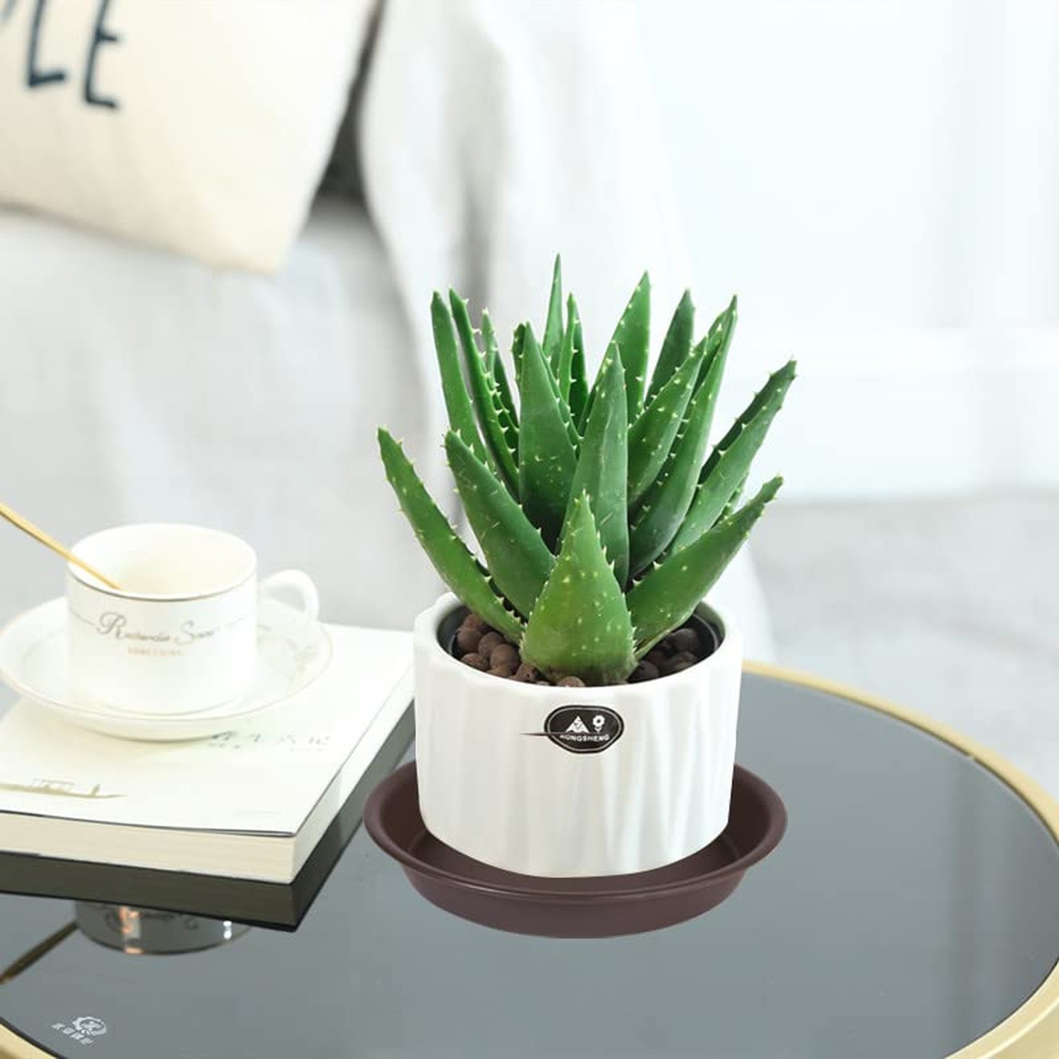 6 Pack Plant Saucer Tray 6“, 4 6 8 10 12 14 16 18 inch Saucers, Heavy Duty