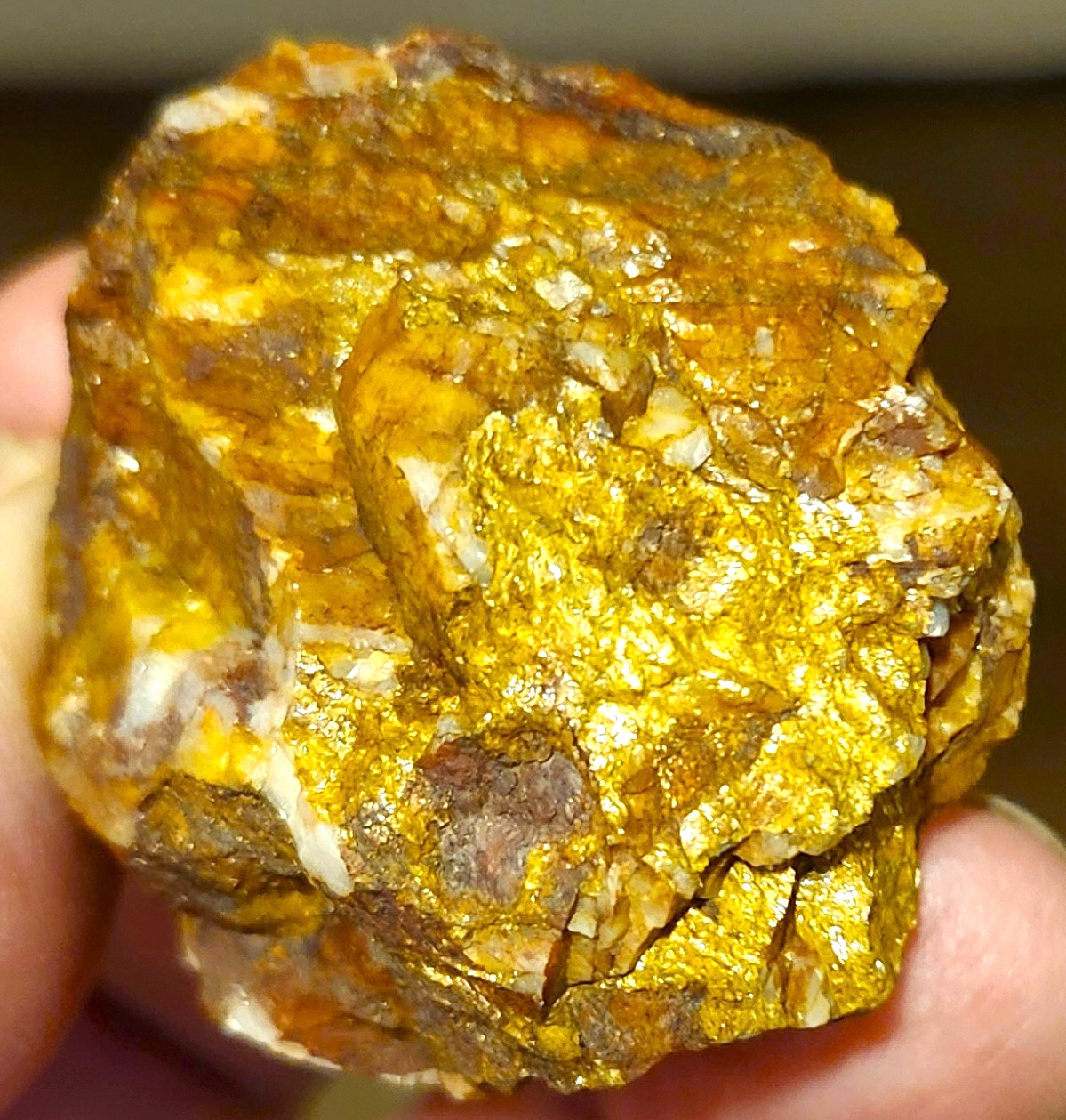 Gold Ore Specimen /Quality Visible Gold