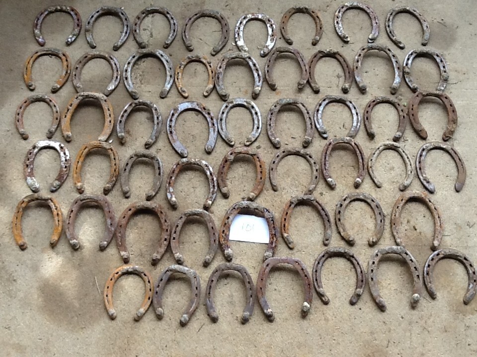 50 Amish Rusty used Horseshoes steel arts and Craft Western Art No Nail READ