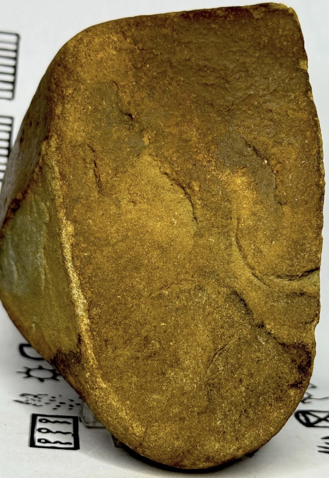 Native American Indian Authentic Artifact Stone Carved Effigy, 2 lb 12 oz • VA