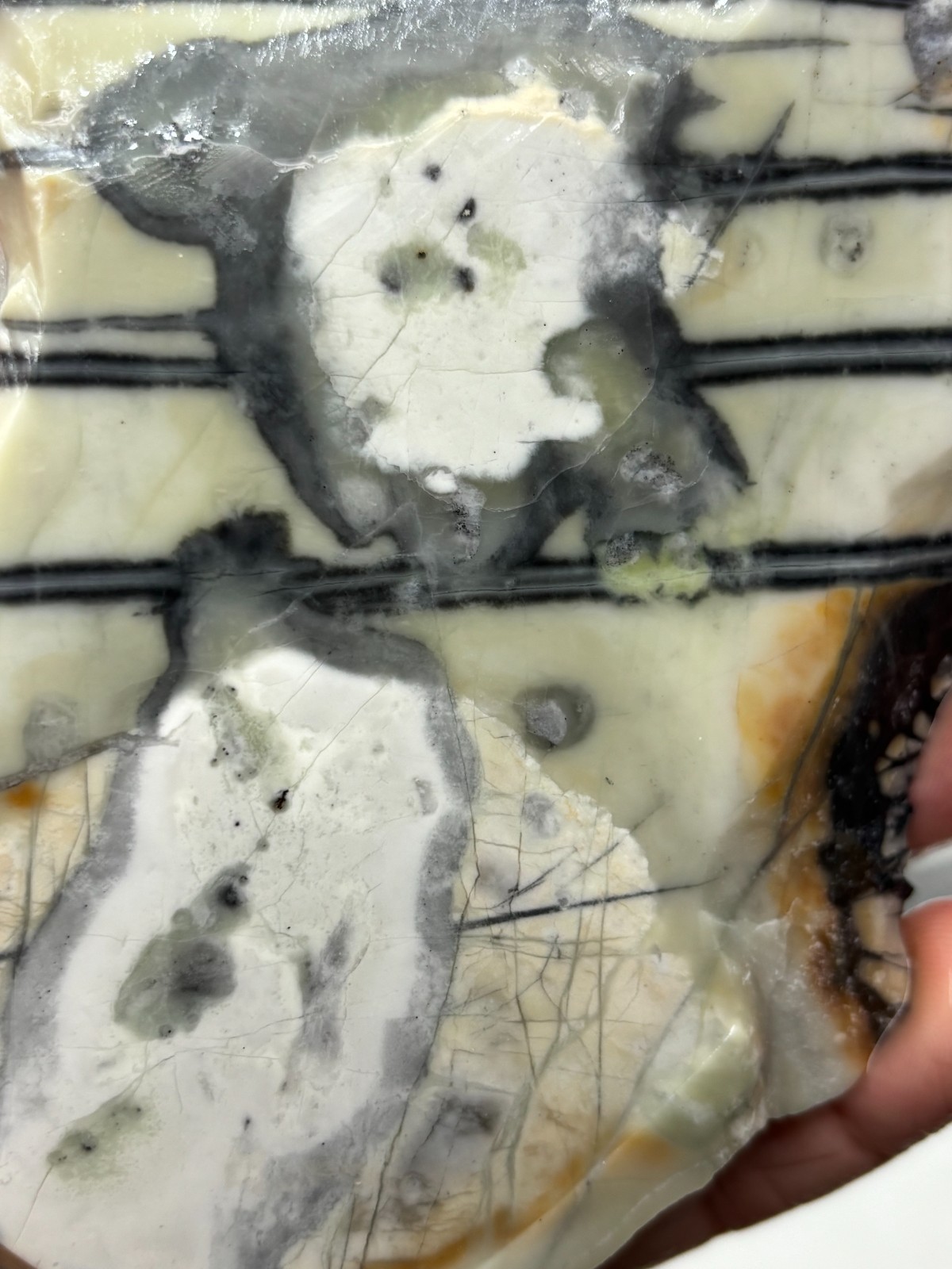 Picasso Marble (Jasper) end Slab Cabbing Lapidary Utah Combo Ship Avail