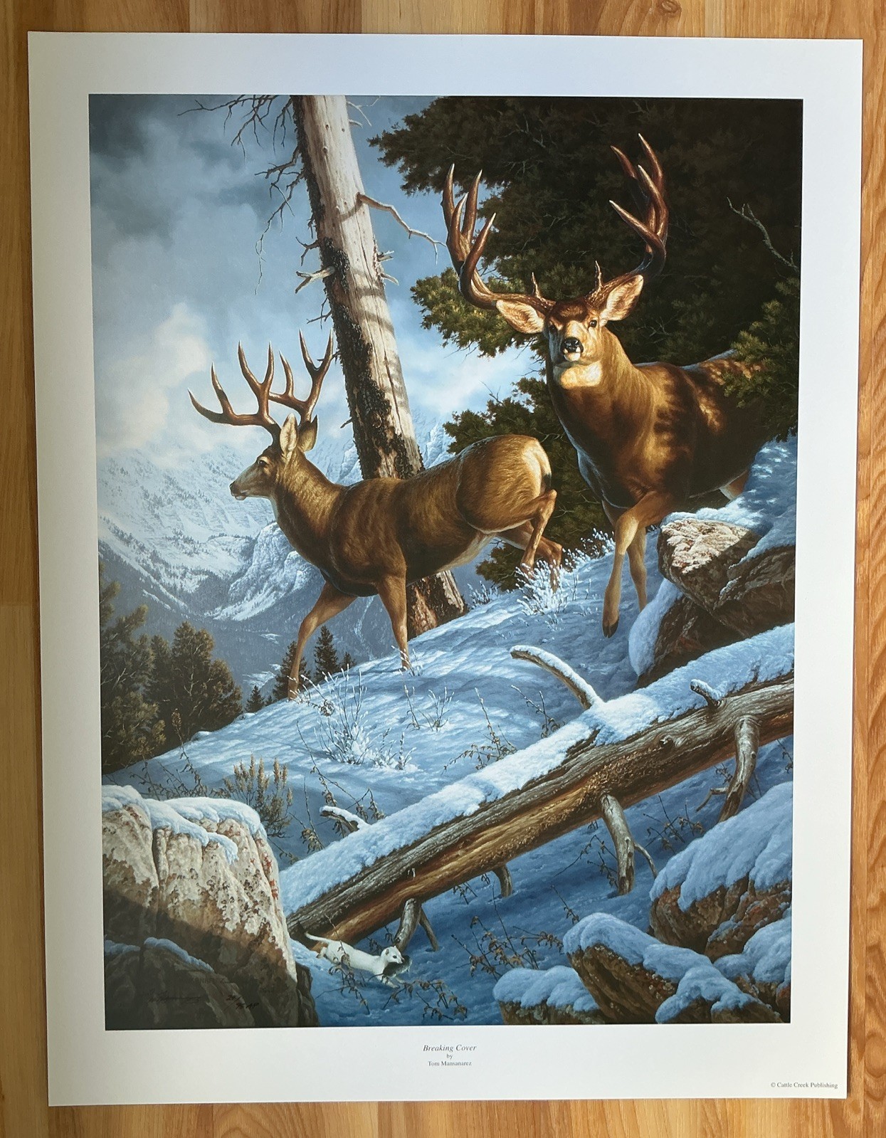 BREAKING COVER - Print By Wildlife Artist Tom Mansanarez - Signed & Numbered