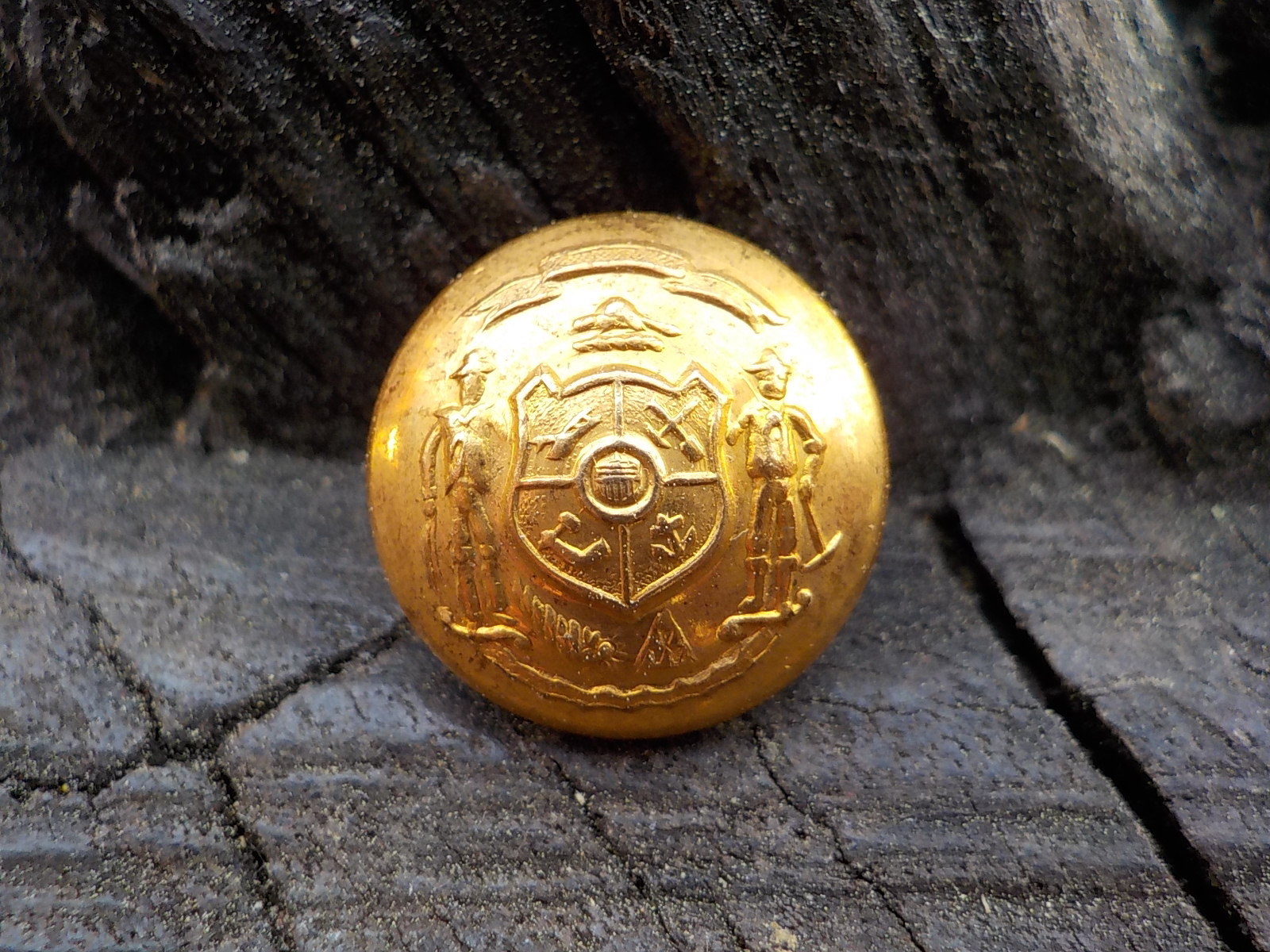 Old Rare Vintage Antique War Relic Wisconsin State Seal Vest Button Free Case