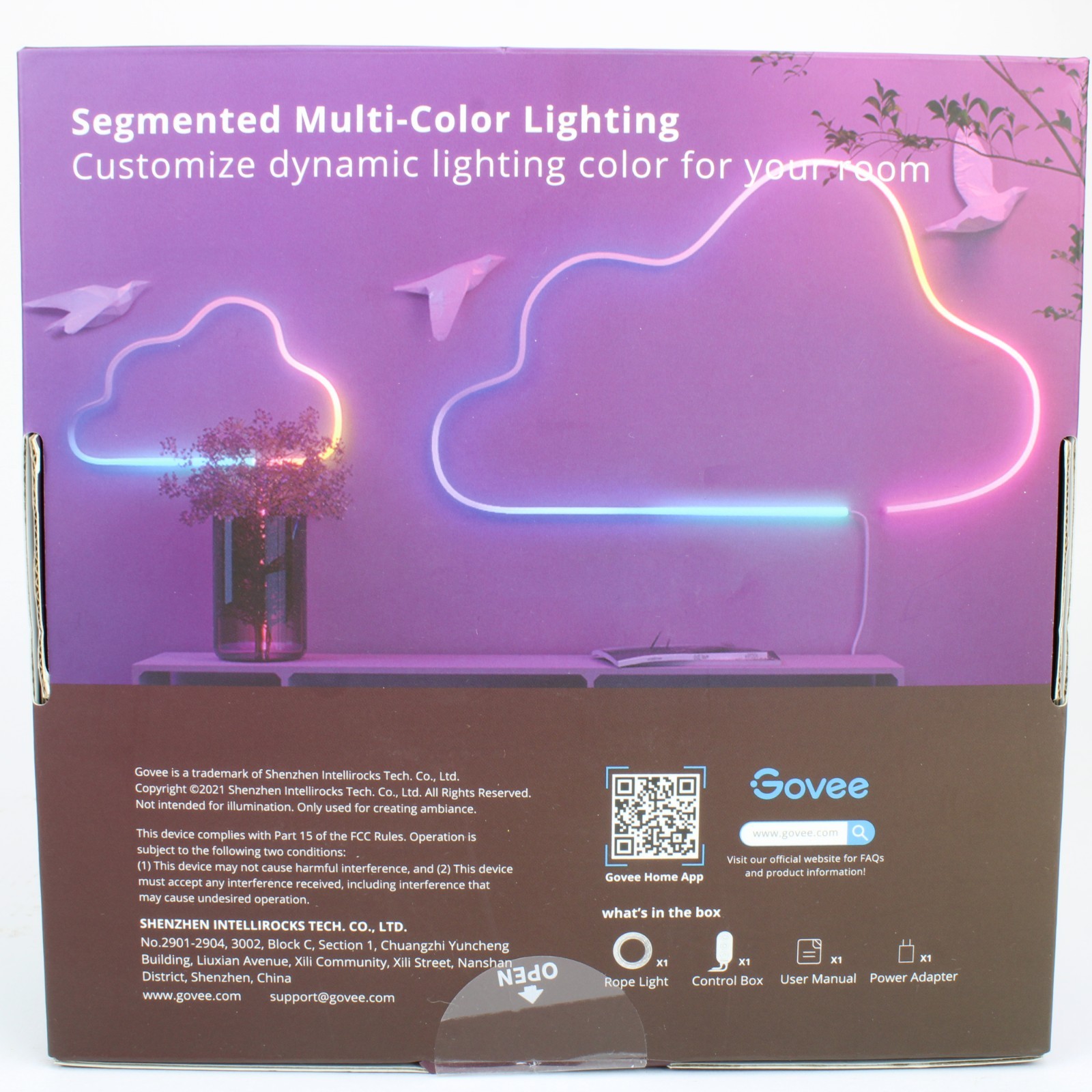 Govee - RGBIC Smart Neon Rope Light - 6.5 Ft H61A1