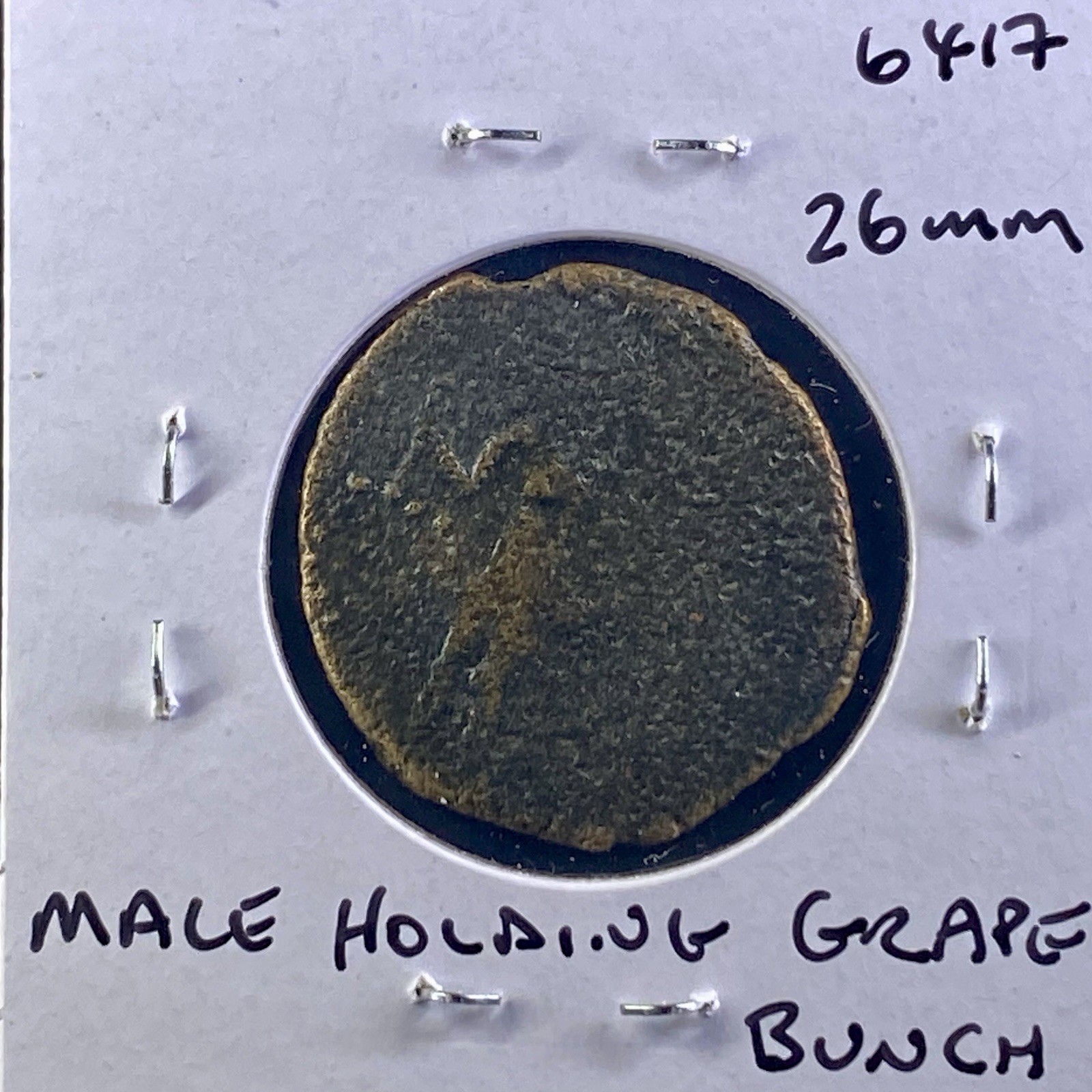 Roman Province of Baetica 42BC-1BC Coin Augustus Male Figure Holding Grapes Rare