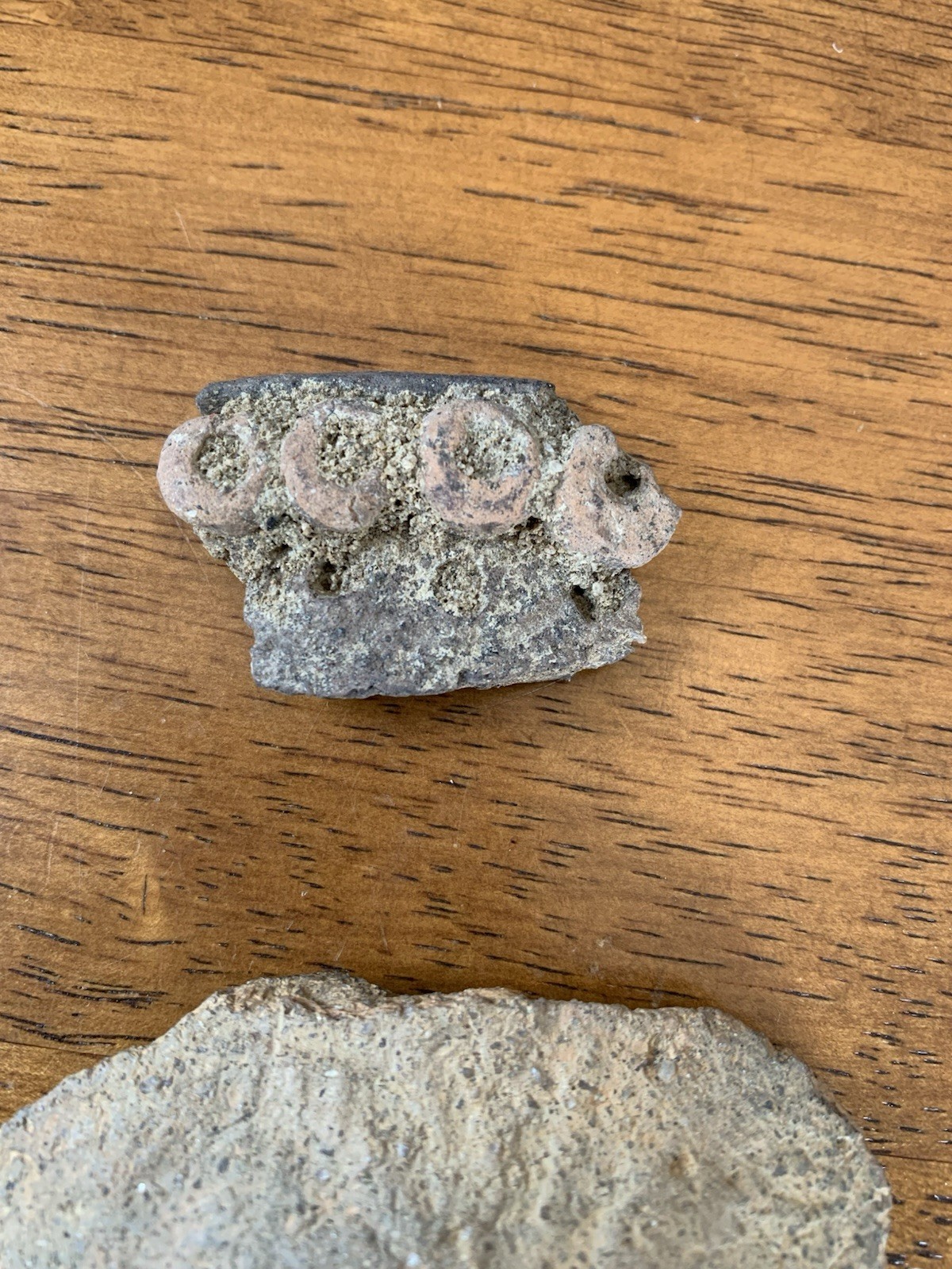 Authentic American Indian Artifacts Found Near Kingstree, SC pottery shards