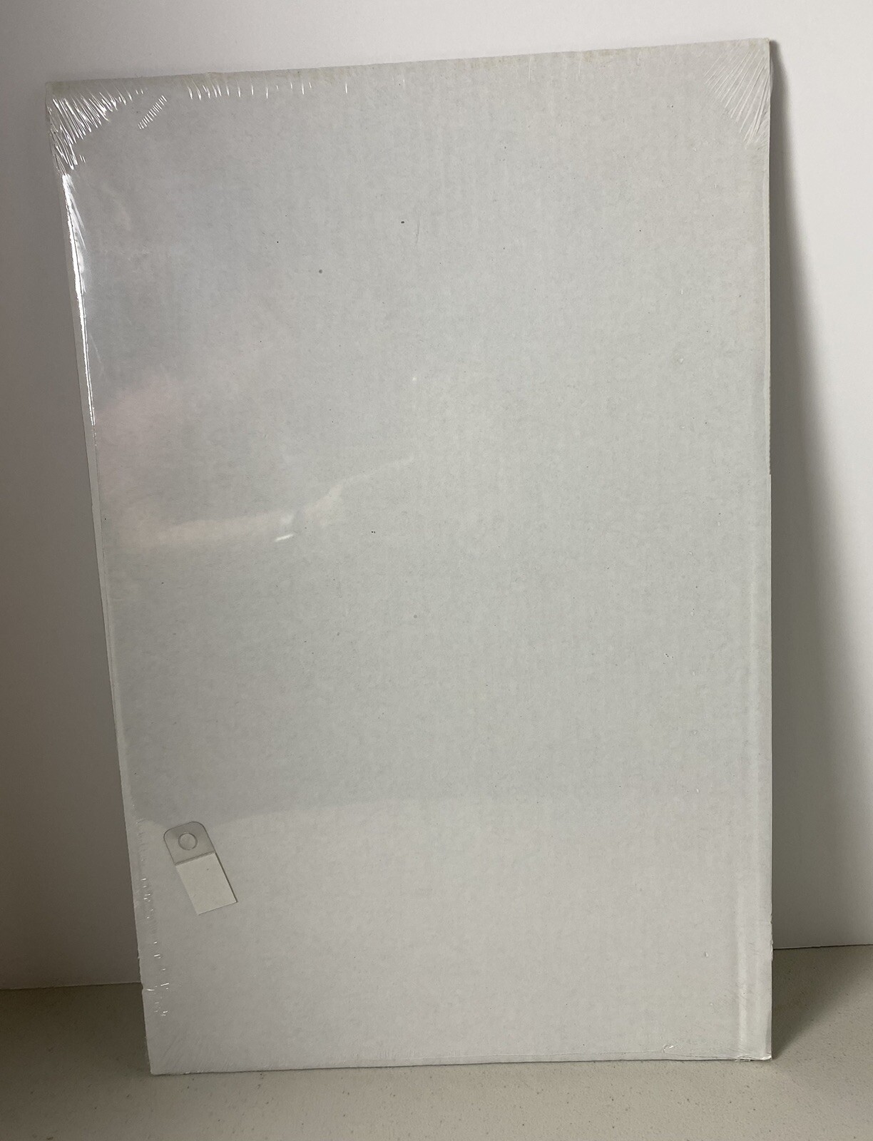 Elvis Presley 1950's~11.5" x 17.5"~Hologram~Lenticular 3-D Picture~RARE~NEW