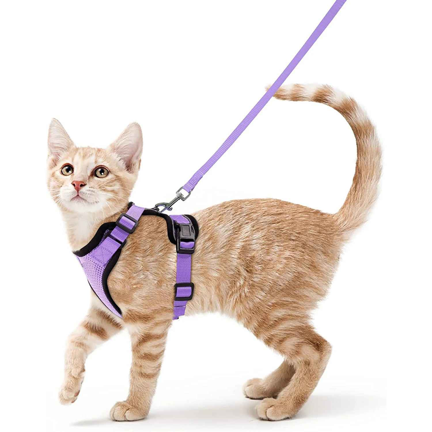 Cat Harness and Leash for Walking, Escape Proof Soft Adjustable Vest Harnesses f