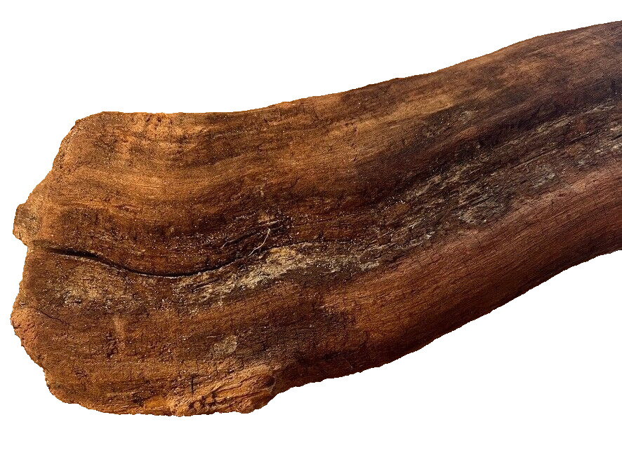 18" x 5" Redwood Driftwood Organic Craft Aquarium Rustic Boho Natural Wood