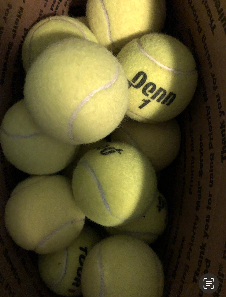 100 Used Tennis Balls, Dogs, Walkers, Schools