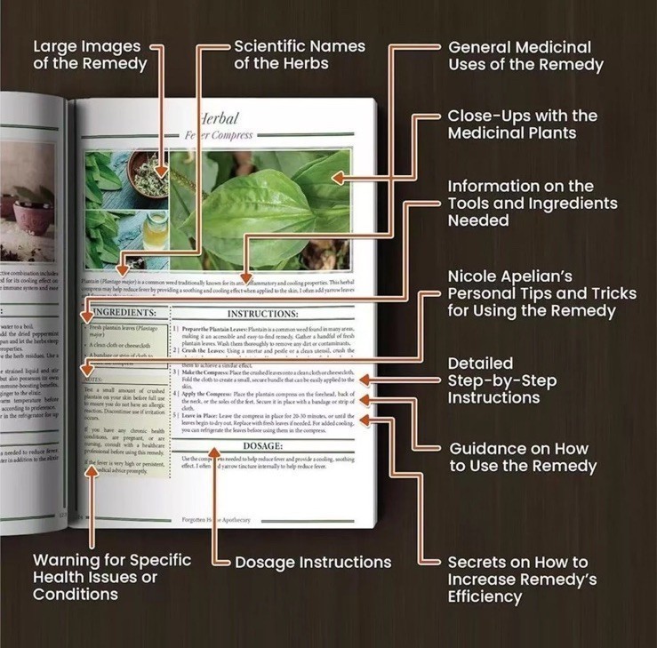 Forgotten Hom- Apσthecary:250-Powerful Remedies By Nicole Apelian=PhD