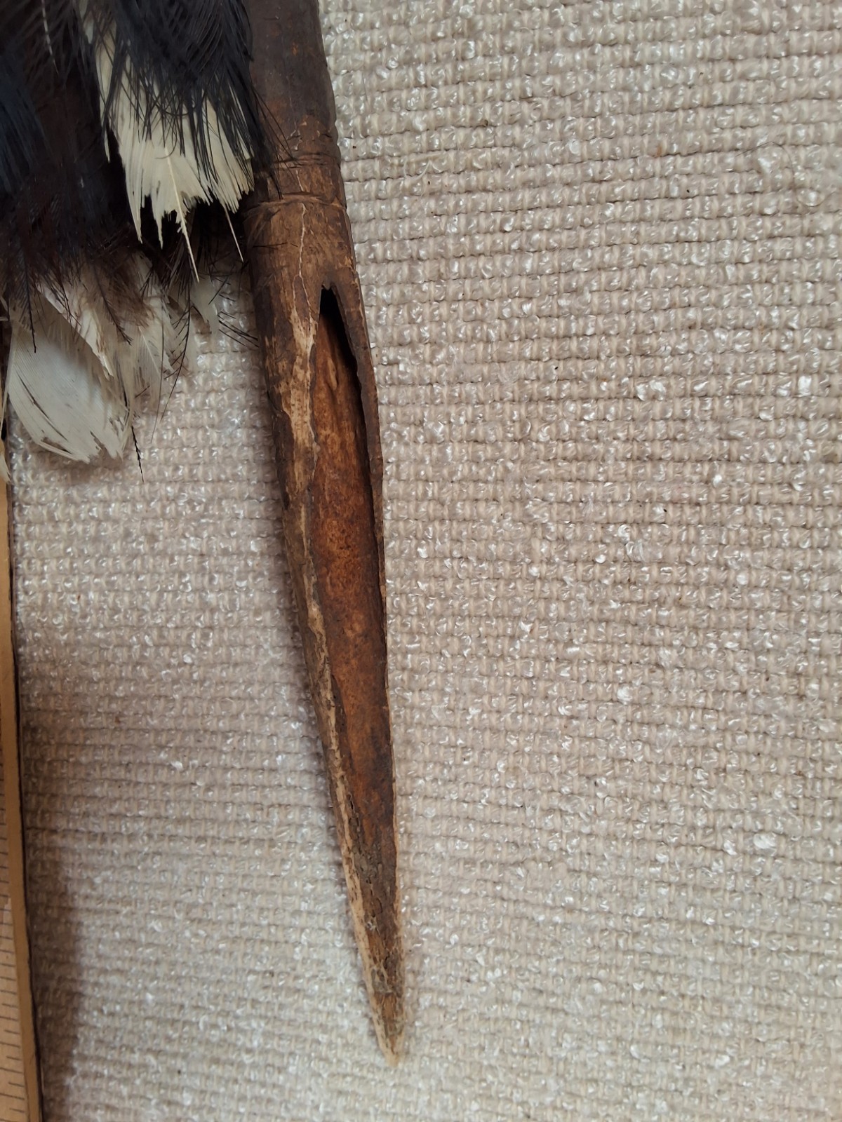Papua New Guinea Rat Tooth Carved Dagger With Feathers