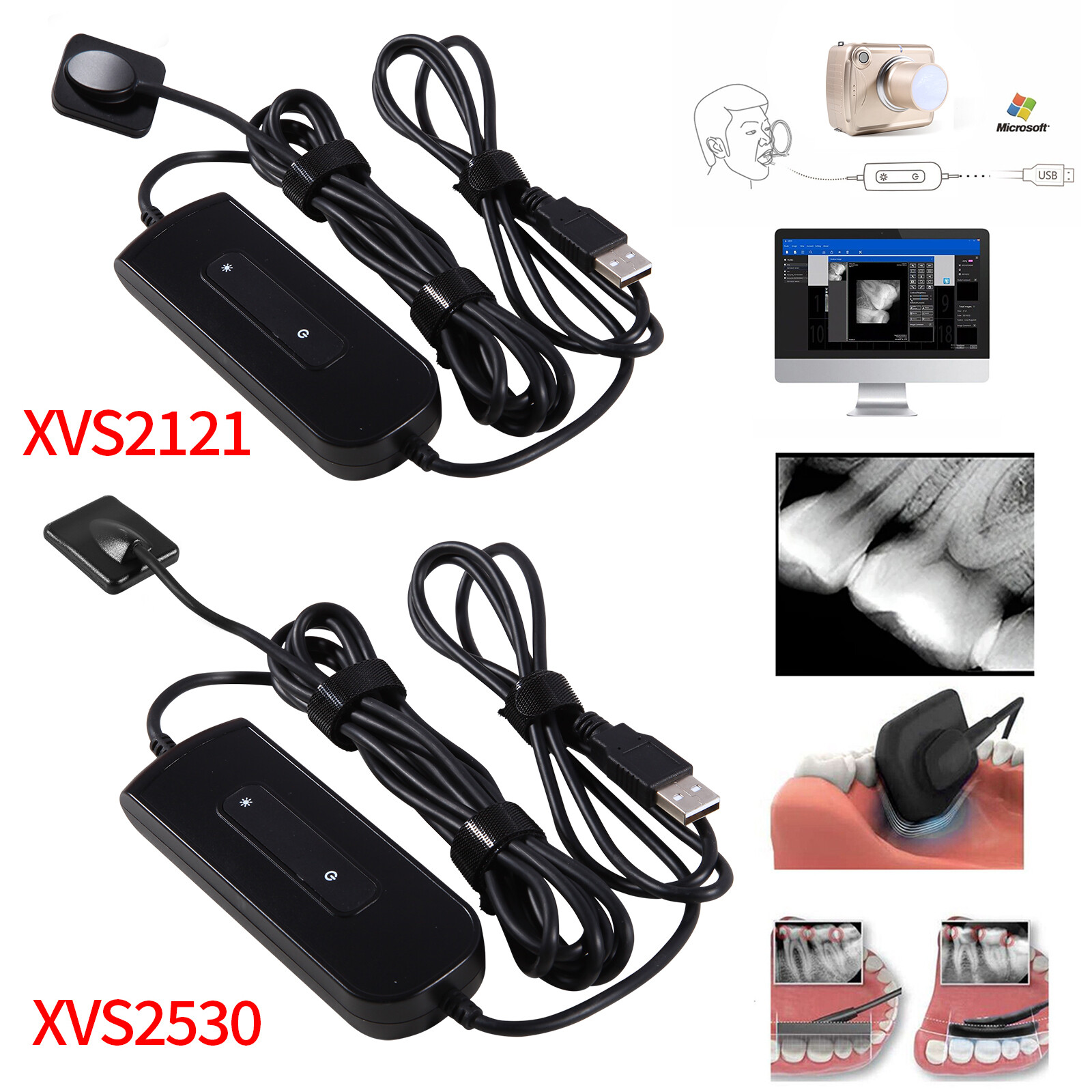 USB Digital Radiography Dentist Dental X-ray Image Tooth Sensor 1.5 / 0.8 Holder