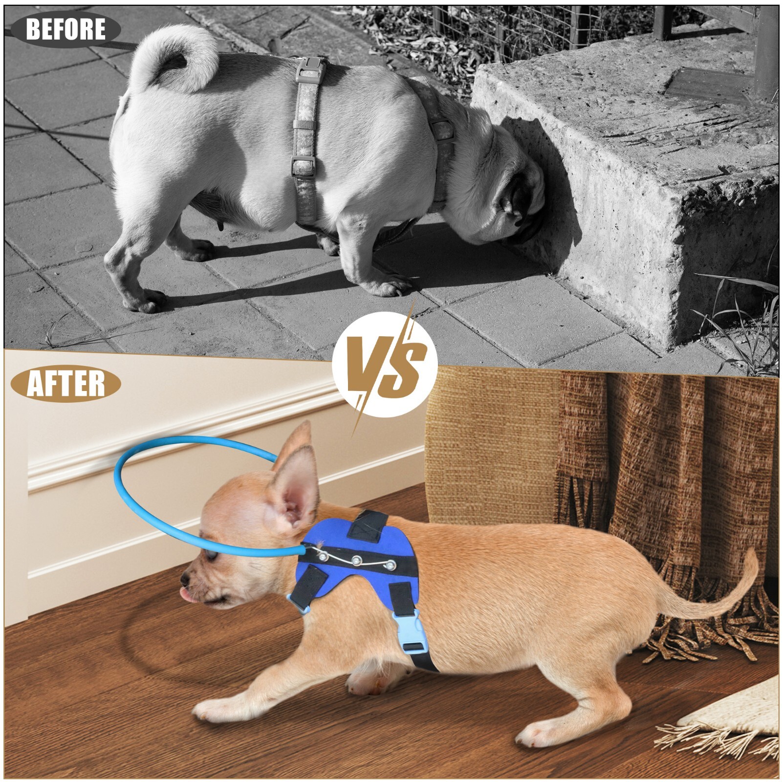 Blind Dog Protective Halo Dog Harness Collar,Confidence Building Harness Guiding