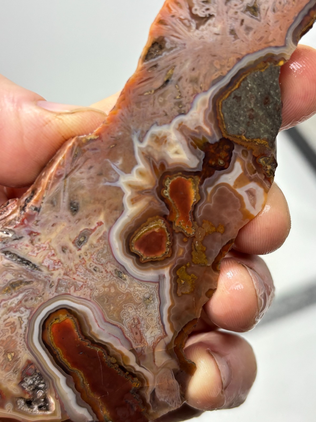 Turkish Stick Agate slab Cabbing Lapidary Collecting Combo Ship avail
