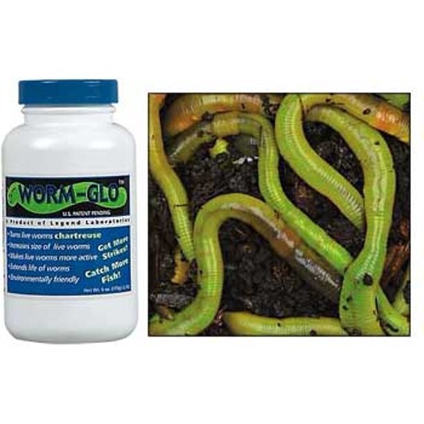 Legend Worm Glo Turns Live Worms Chartreuse 6oz. Plastic Bottle