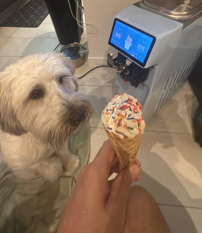 Gseice Commercial Soft Serve Ice Cream Machine – Works – Touchscreen Wash Button