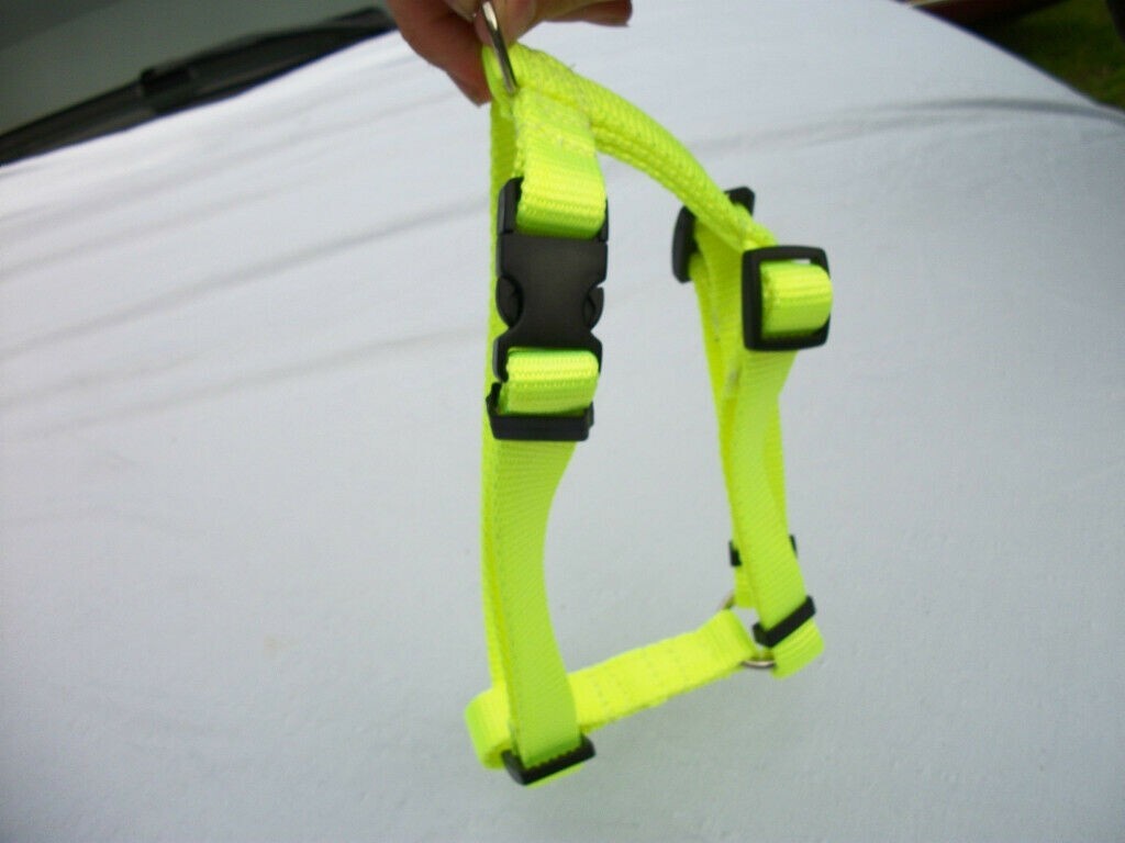 Pig Harness Heavy Duty Hand Made Curved Plastic Buckle With Leash Handmade