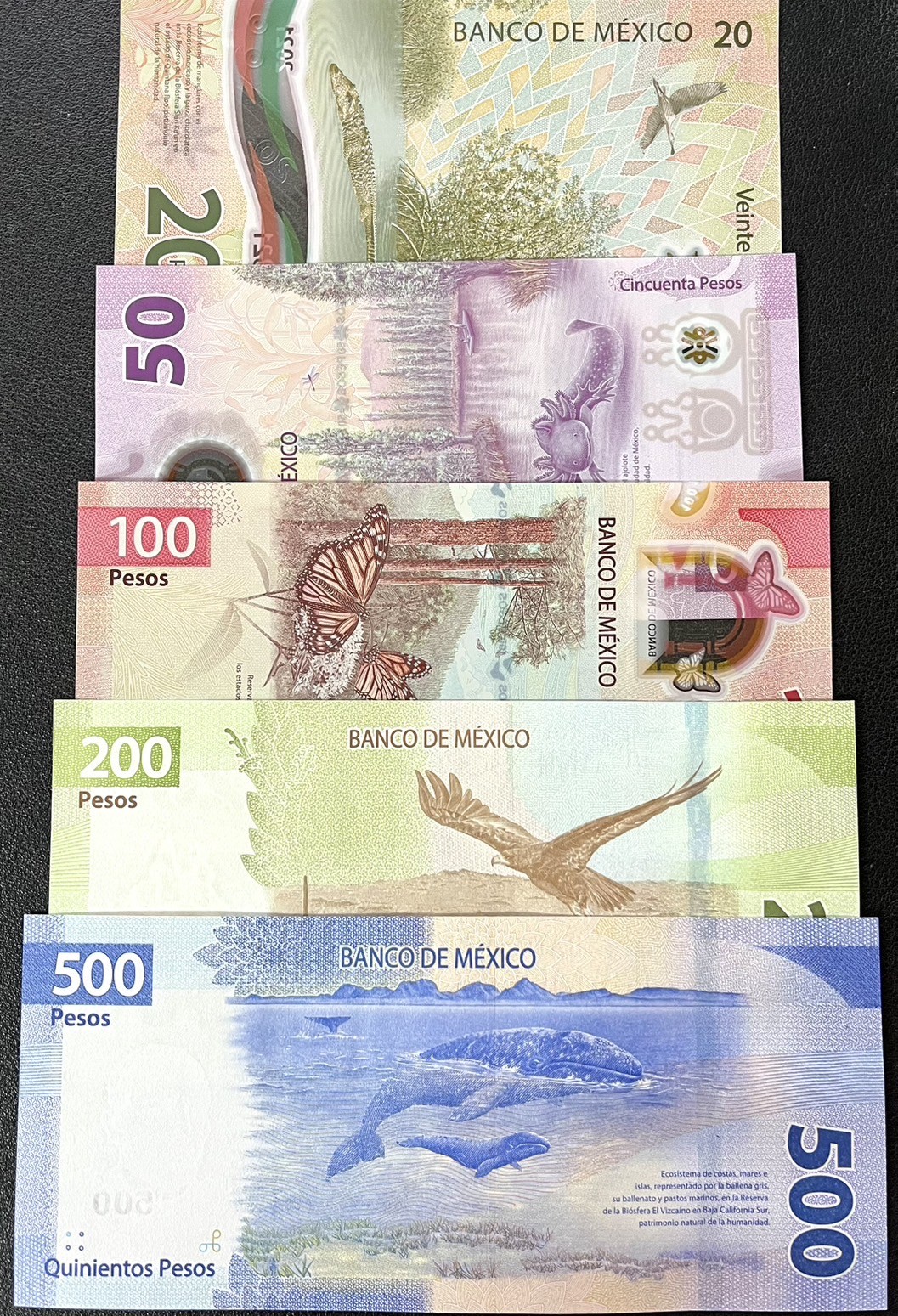 Mexico set 5 Pcs 20 50 100 200 500 Mixed Years P 131 131A 132 133 136 UNC