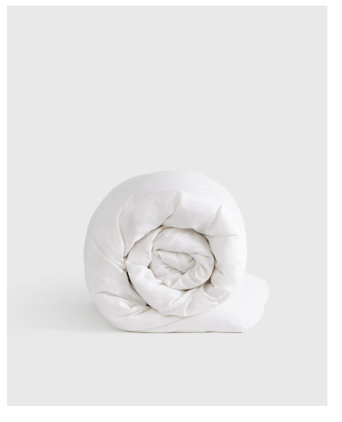 NWT QUINCE LUXE GOOSE DOWN COMFORTER KING /CAL KING INSERT LIGHTWEIGHT ORIG $300