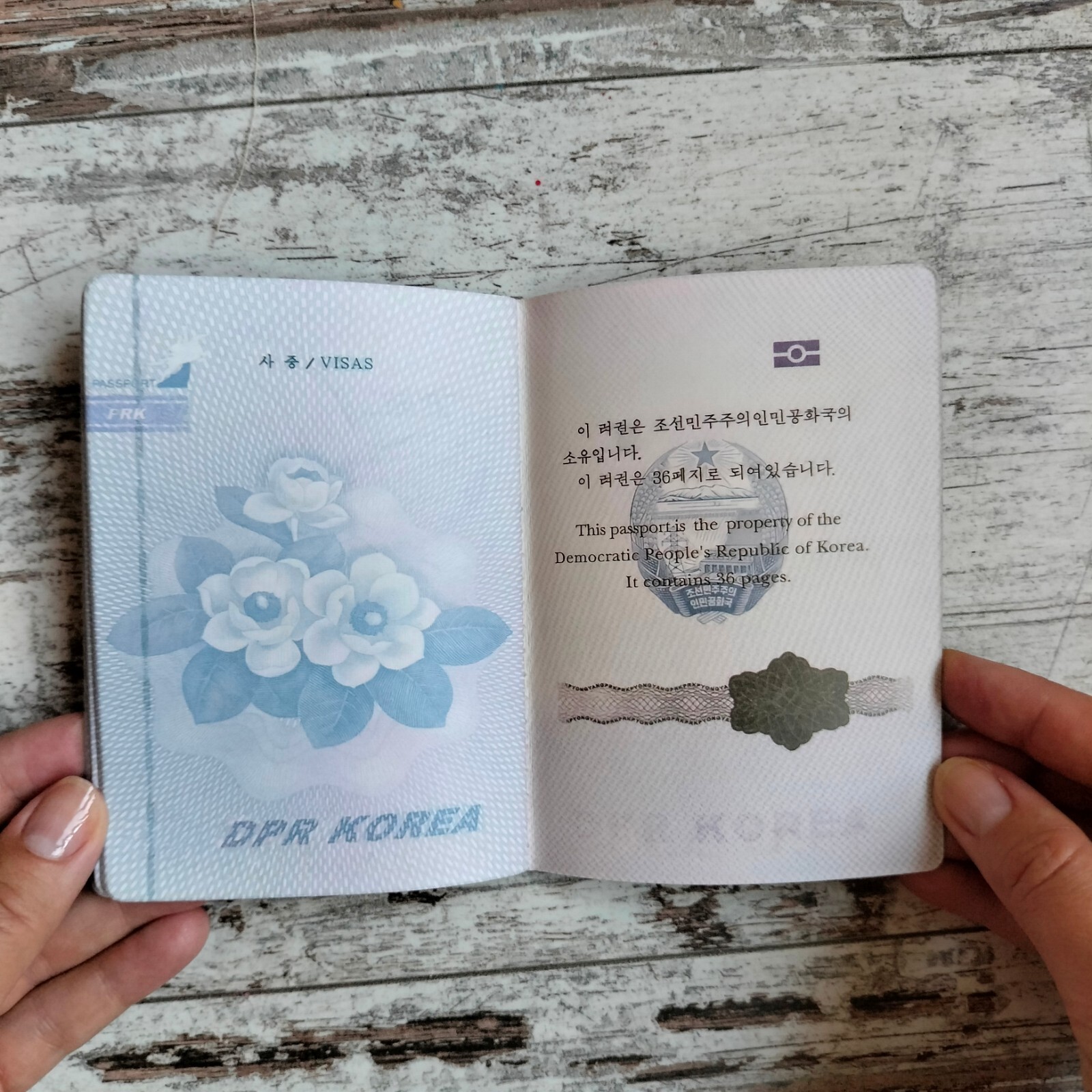 North Korea passport prop. Novelty passport cosplay. Play passport notebook.