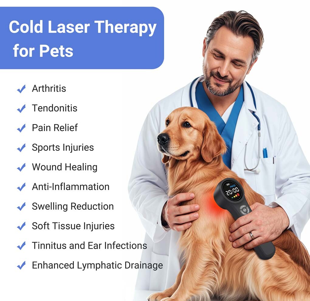 Medical 1760mW Cold Laser Therapy Device Class4 Human Horses Dogs Pain Relief
