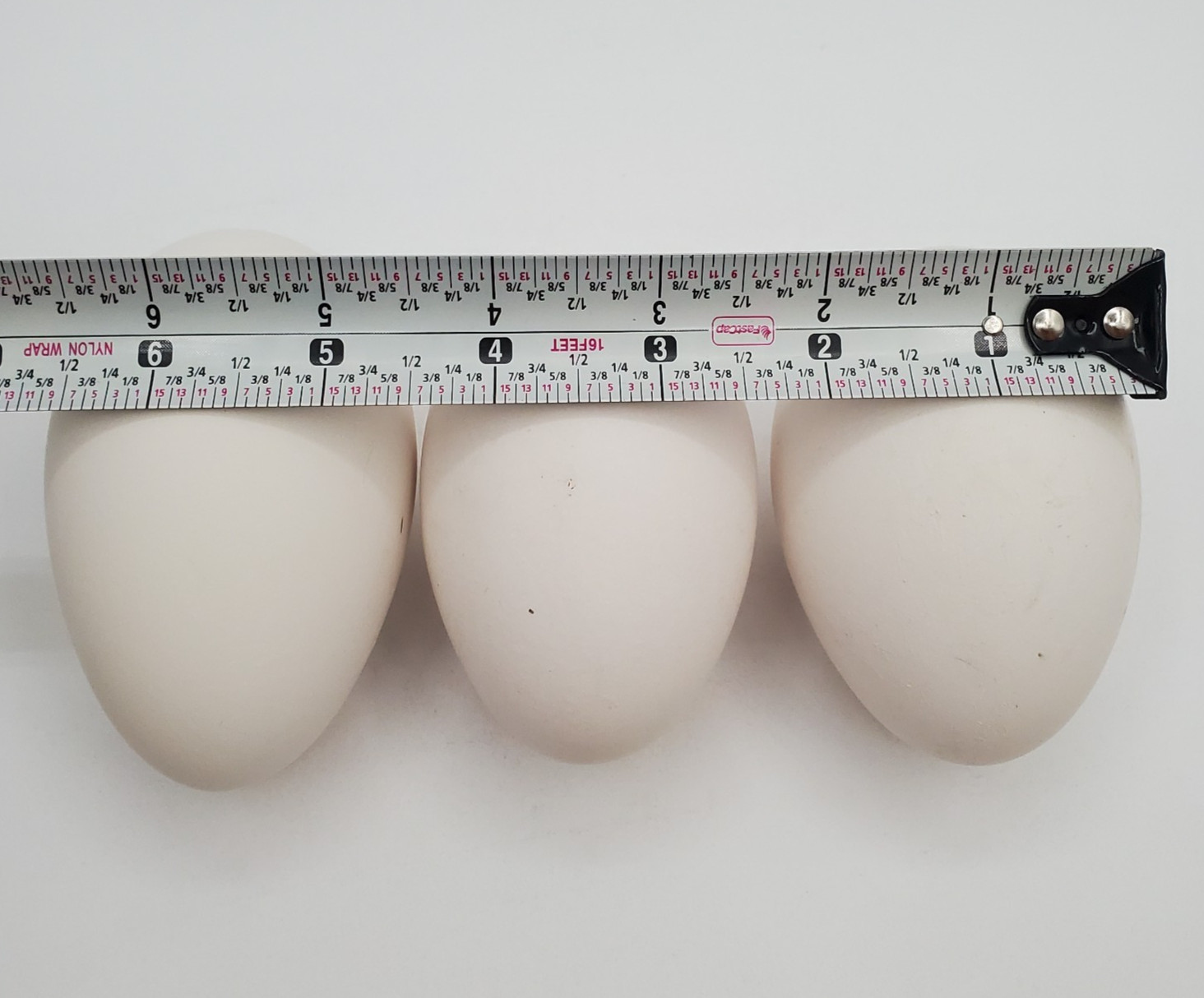 3 + African Goose Hatching Eggs Fertile Louisiana Farm Fresh MULTIPLES AVAILABLE