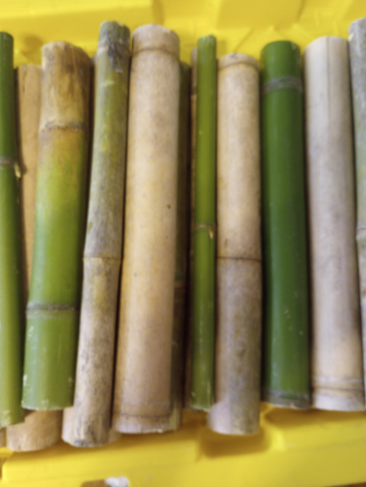 10 Bamboo 12" Poles Variety Sizes Decoration Tiki 1' Make Your Own Bee Hive