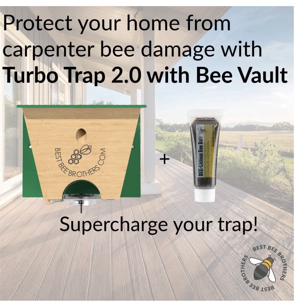 BEST BEE BROTHERS Carpenter Bee Turbo Trap 2.0 Professional Grade
