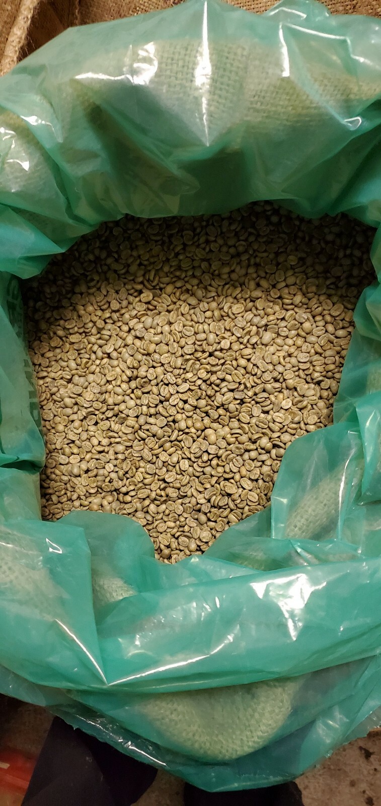 5 LB COSTA RICA, COSTA RICAN, UNROASTED GREEN COFFEE BEANS FIVE POUND - ARABICA