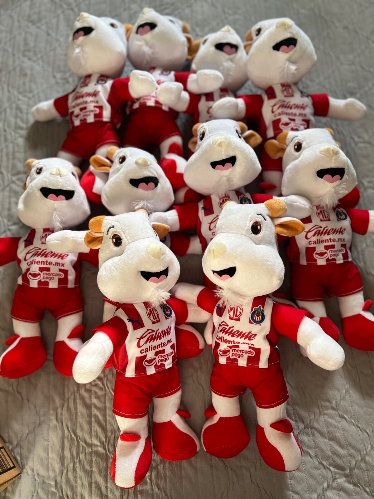 STUFFED ANIMAL CHIVAS RAYADAS DEL GUADALAJARA LIGA MX MASCOTA
