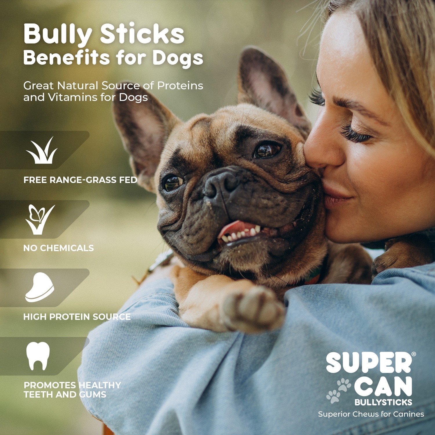 Long Lasting Bully Sticks for Dogs 6" Standard 10 pcs Bag