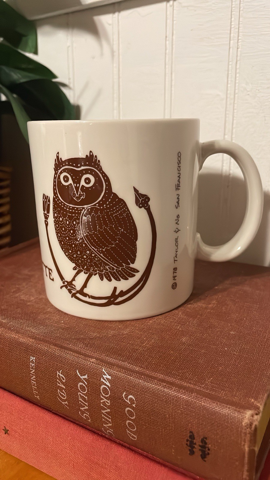 VINTAGE 1978 Taylor & Ng San Francisco Brown Owl Mug - LA CHOUETTE