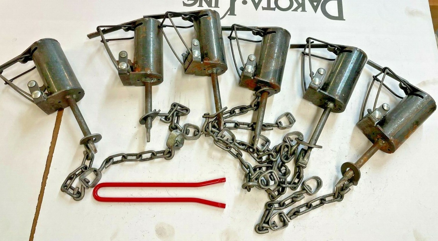 6, Brand New Cold Creek, Dog proof raccoon traps, coon, DP with setting tool