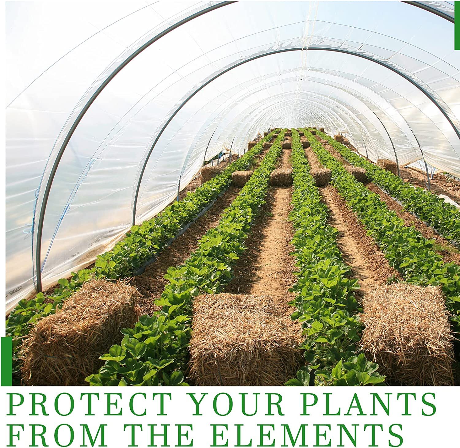 Greenhouse Plastic 6 mil Clear 5 Year Poly Film 13-30ft Width x Various Length