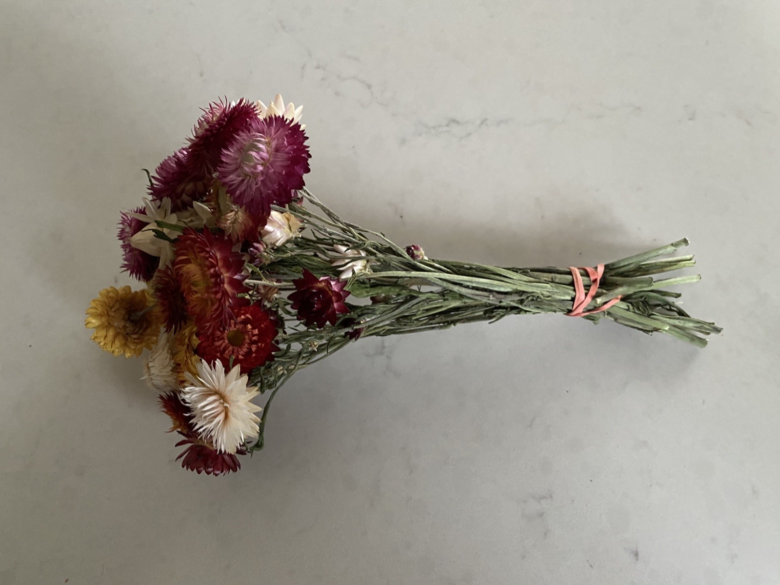 Beautiful STRAWFLOWERS Mix Assorted Bunch BOUQUET Bundle DRIED Flowers USA Auc#2