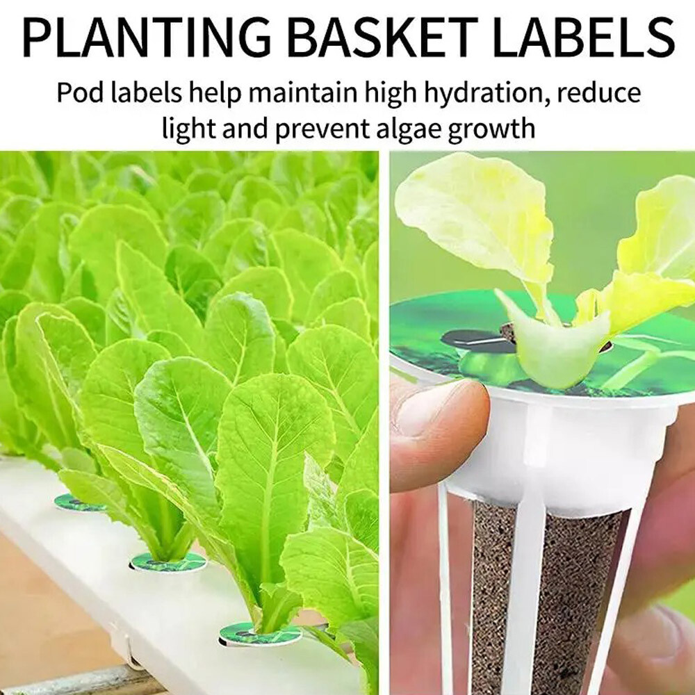 121PCS Hydroponic Garden Seed Pods Grow Anything Kit Accessories Sponge Dome US