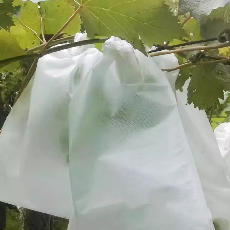 100PCS Garden Plant Fruit Vege Protect Drawstring Bags Against Insect Pest Bird